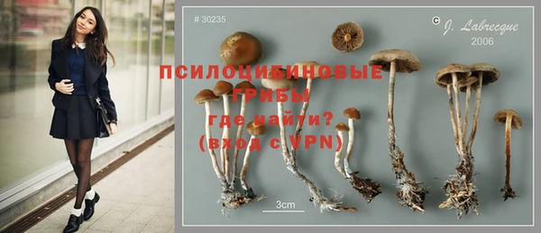 сатива Кодинск