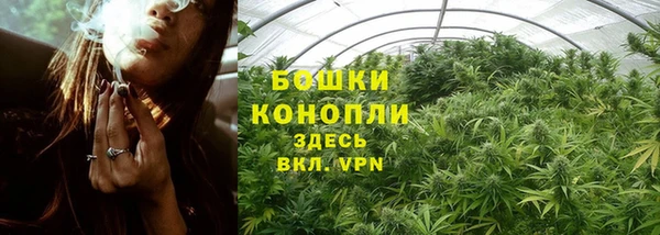 сатива Кодинск