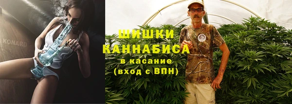 сатива Кодинск