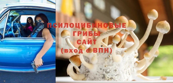 сатива Кодинск