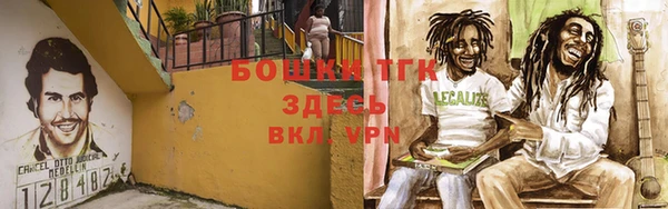 сатива Кодинск