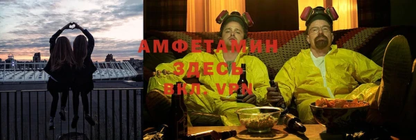 сатива Кодинск